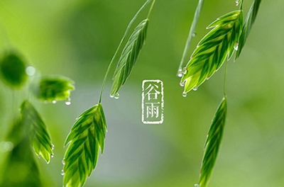 谷雨，播種希望