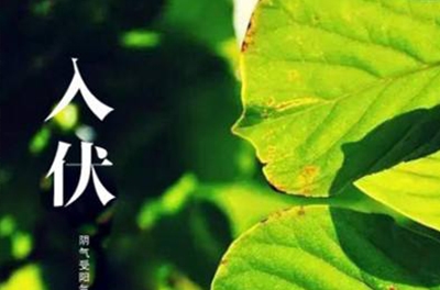 入伏在即，酷暑將至