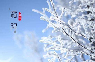 葉落草枯，秋晚凝霜