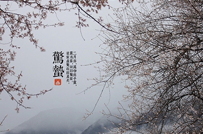 春雷起，驚蟄出